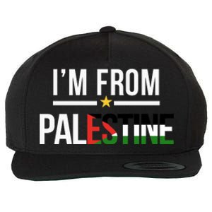 Im From Palestine | Free Palestine  Flag Palestine Wool Snapback Cap