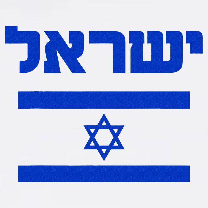 Israel Flag Proud Country Of Israel Lover Hebrew Mug
