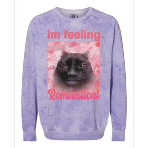 IM Feeling Romantical Funny Silly Staring Cat Meme Colorblast Crewneck Sweatshirt