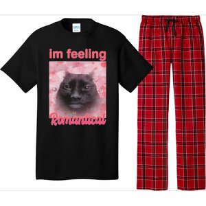 IM Feeling Romantical Funny Silly Staring Cat Meme Pajama Set