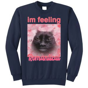 IM Feeling Romantical Funny Silly Staring Cat Meme Sweatshirt