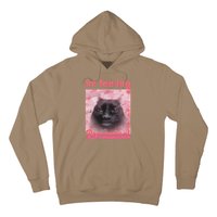 IM Feeling Romantical Funny Silly Staring Cat Meme Hoodie