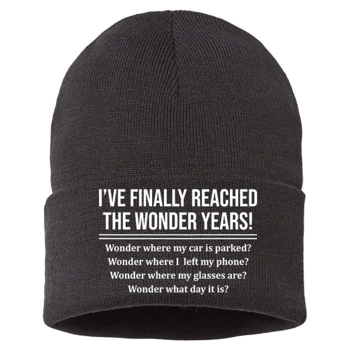 Ive Finally Reached The Wonder Years Funny Sustainable Knit Beanie
