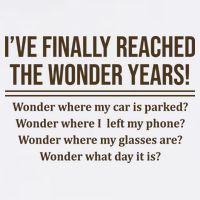 Ive Finally Reached The Wonder Years Funny Polo