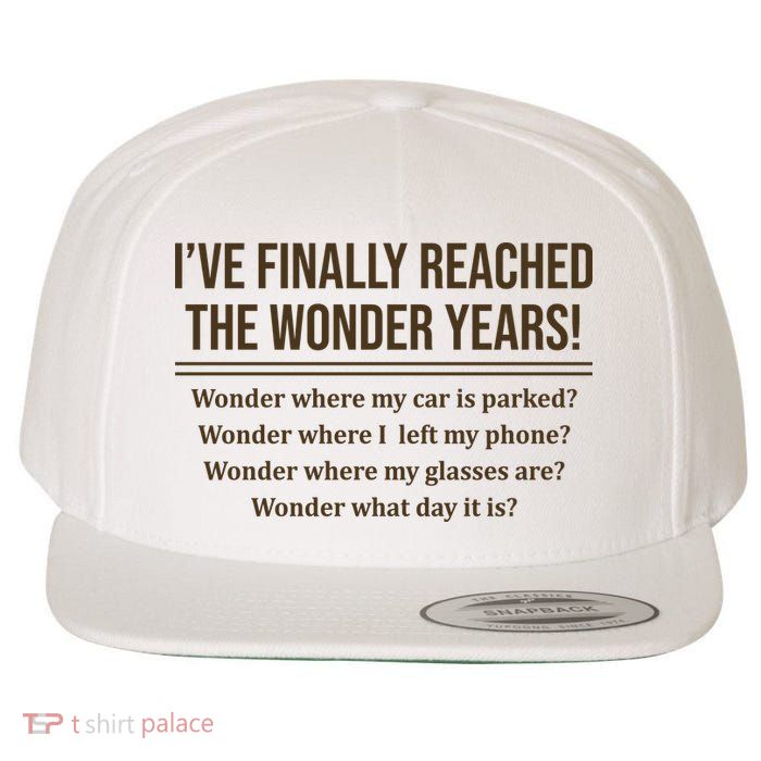 Ive Finally Reached The Wonder Years Funny Wool Snapback Cap
