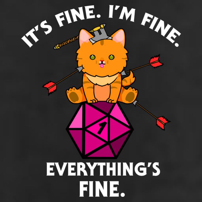 ItS Fine Rpg Gamer Cat D20 Dice Fail Funny Nerdy Geek Knit Cap Winter Beanie