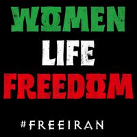 Iranian Flag, Support Women Iran, I Stand With Women Of Iran Wool Snapback Cap