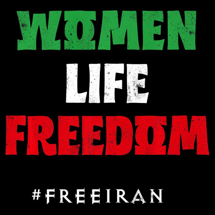 Iranian Flag, Support Women Iran, I Stand With Women Of Iran Wool Snapback Cap