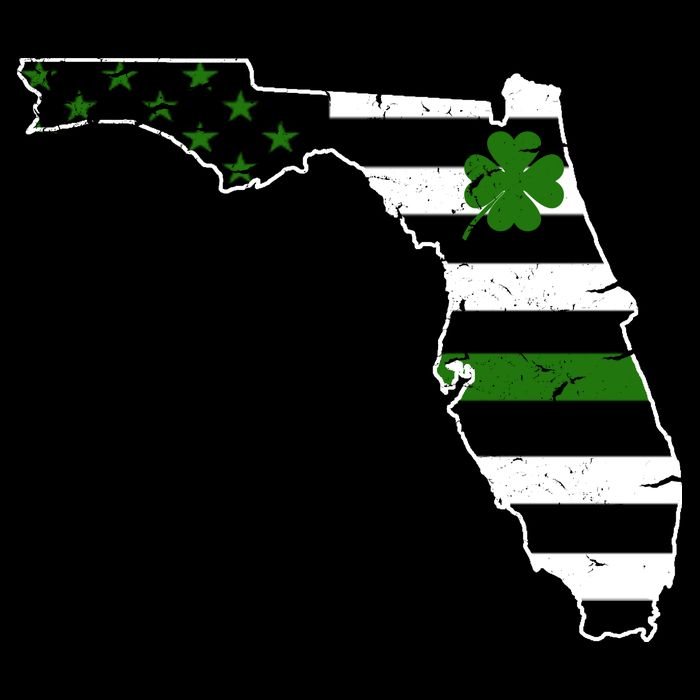 Irish Florida State Flag American Map Womens T-Shirt