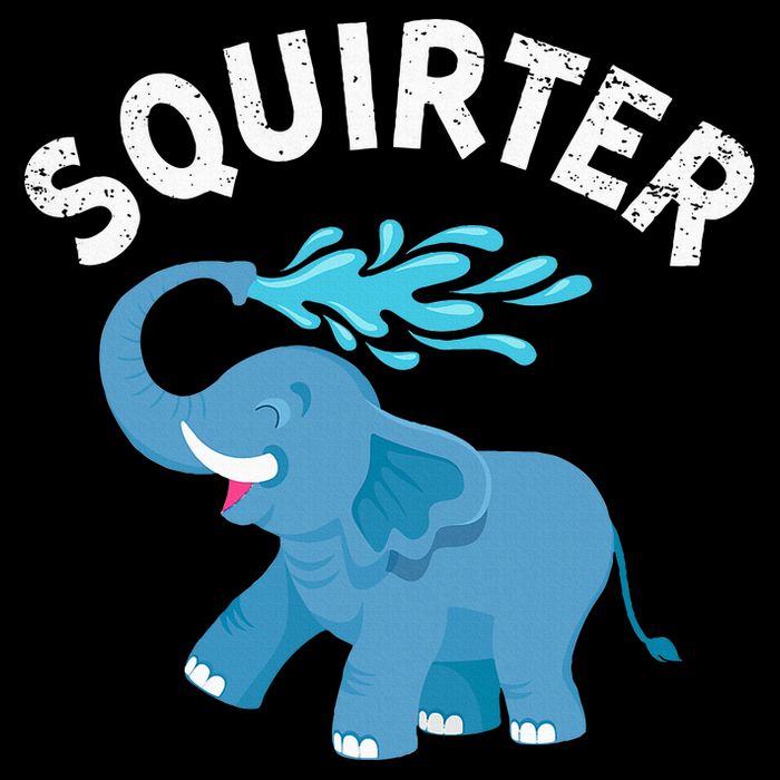 Inappropriate Funny Squirter Embarrassing Toddler Sweatshirt