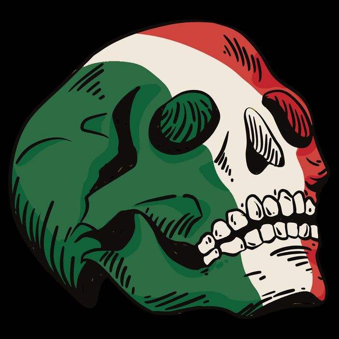 Italian Flag Skull Tall T-Shirt