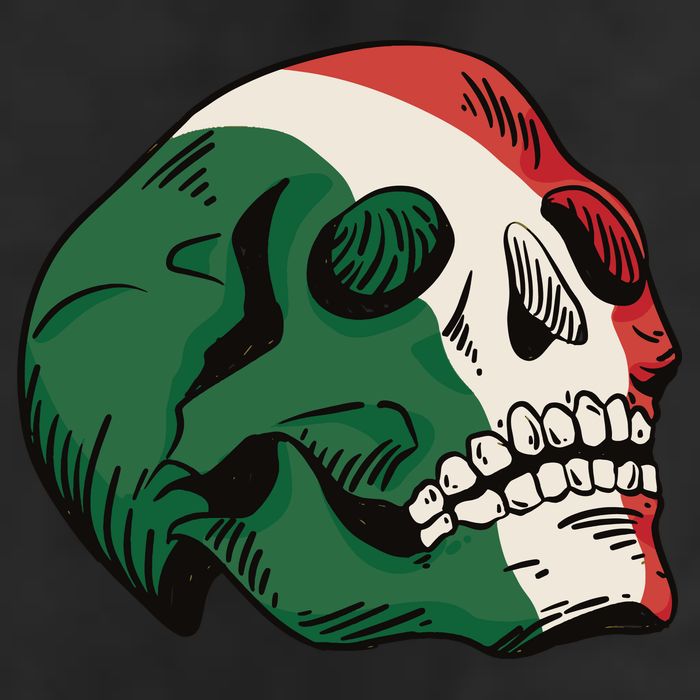Italian Flag Skull Adult Drive Performance Visor