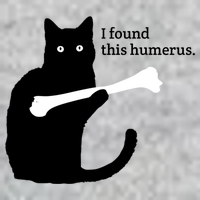 I FOUND THIS HUMERUS T-Shirt