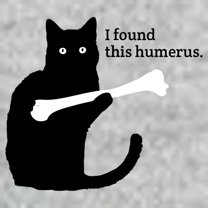 I FOUND THIS HUMERUS T-Shirt