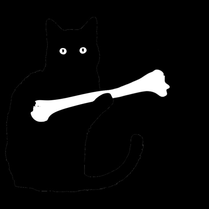 I FOUND THIS HUMERUS Apron