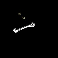I Found This Humerus Humorous, Cat Lover Bucket Hat