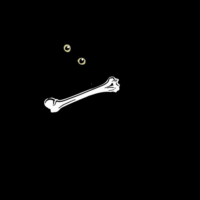 I Found This Humerus Humorous, Cat Lover Bucket Hat