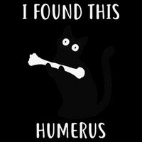 I Found This Humerus Funny Black Cat Cropped Pullover Crew