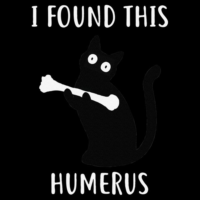 I Found This Humerus Funny Black Cat Cropped Pullover Crew