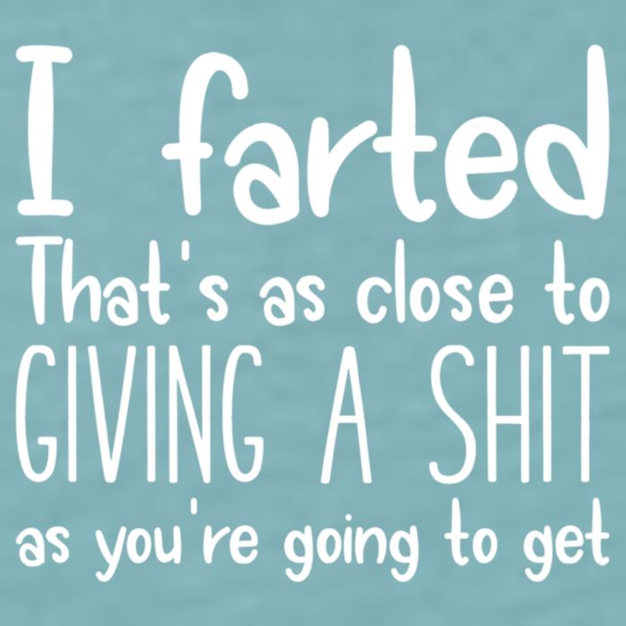 I Farted That's As Close To Giving A Shit Sueded Cloud Jersey T-Shirt