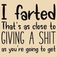 I Farted ThatS As Close To Giving A Shit As YouRe Going To Bag