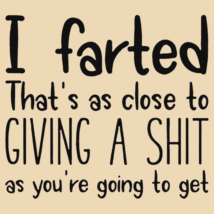 I Farted ThatS As Close To Giving A Shit As YouRe Going To Bag