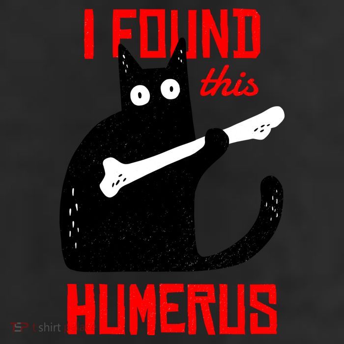 I Found This Humerus Funny Cat Anatomy 11oz C Handle Ceramic Mug