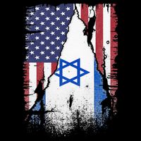 Israeli Flag Vintage Israel USA Flag Bucket Hat