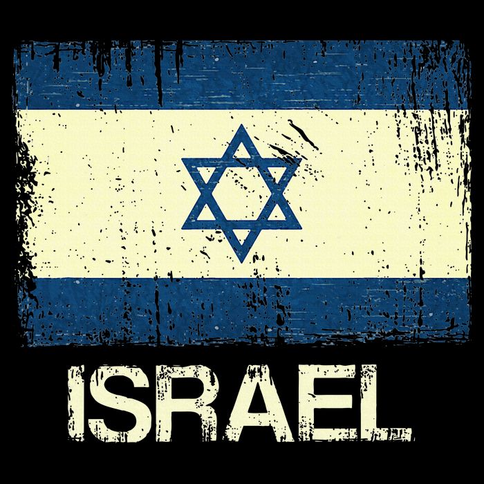 Israeli Flag  Vintage Israel T-Shirt
