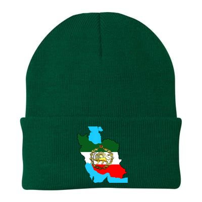 Iran Flag With A Golden Lion Knit Cap Winter Beanie