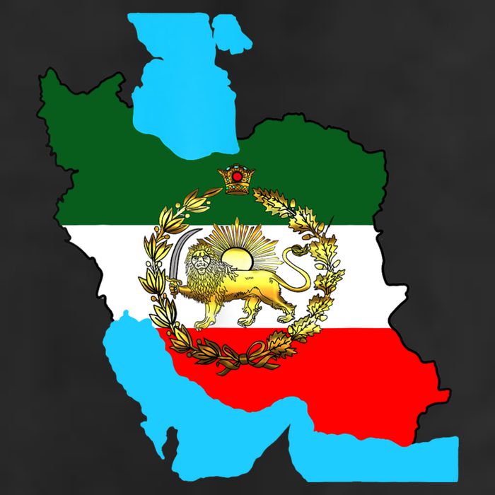Iran Flag With A Golden Lion Cool Comfort Performance Bucket Hat