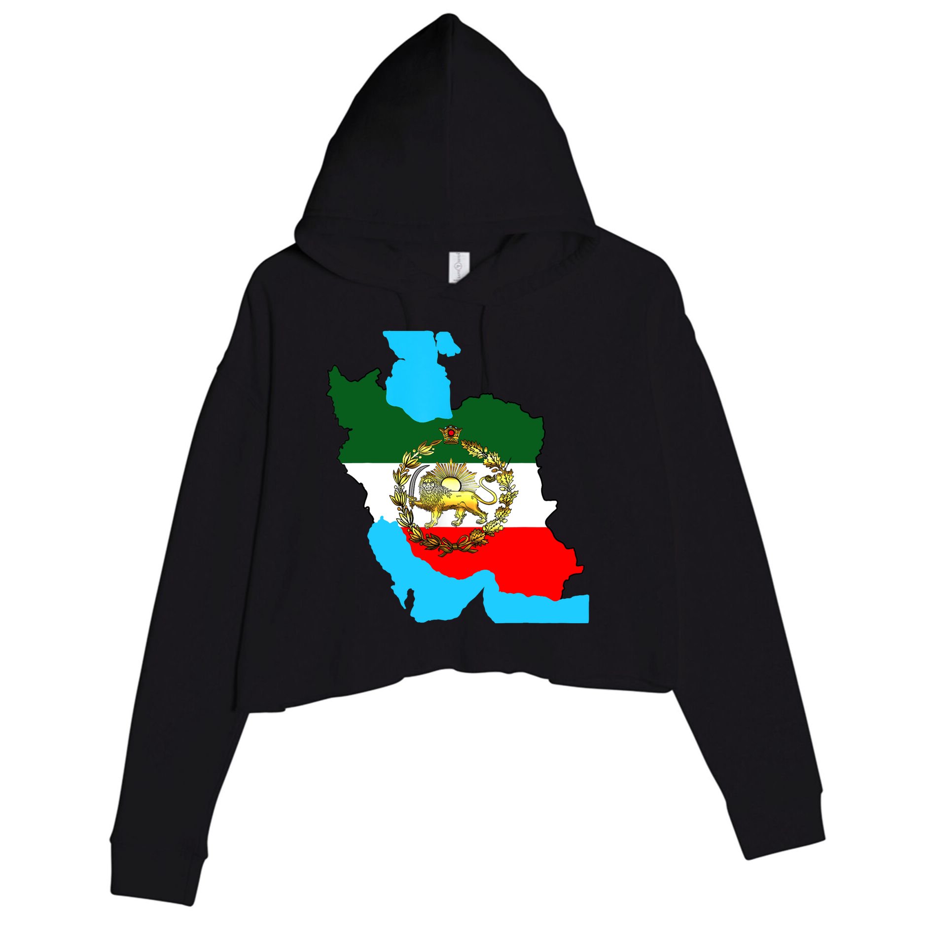 Iran Flag With A Golden Lion Crop Fleece Hoodie