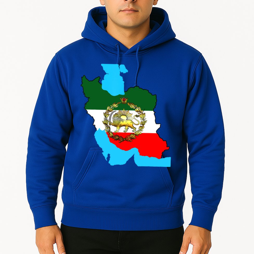 Iran Flag With A Golden Lion Hoodie
