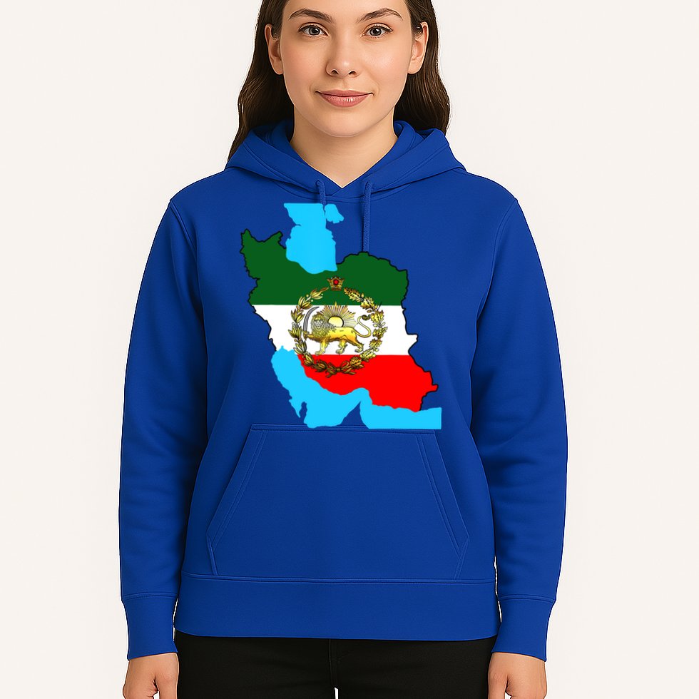 Iran Flag With A Golden Lion Hoodie