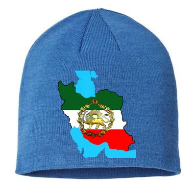 Iran Flag With A Golden Lion Sustainable Beanie