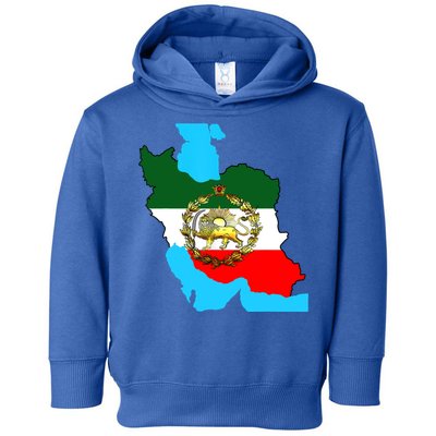 Iran Flag With A Golden Lion Toddler Hoodie