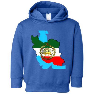 Iran Flag With A Golden Lion Toddler Hoodie