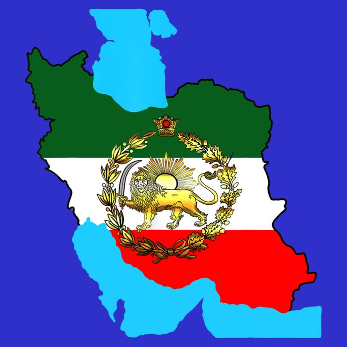 Iran Flag With A Golden Lion Tank Top