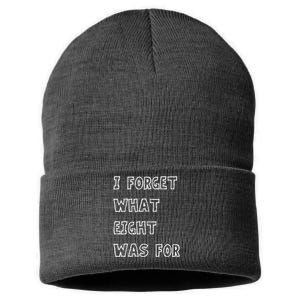 I Forget What Eight Was For Violent Femmes Kiss Off Sustainable Knit Beanie