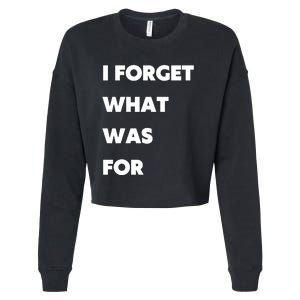 I Forget What 8 Was For Cropped Pullover Crew