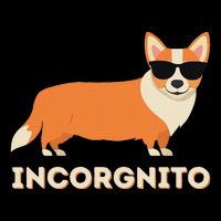 Incorgnito Funny Welsh Corgi Owner Dog Lover Long Sleeve Shirt