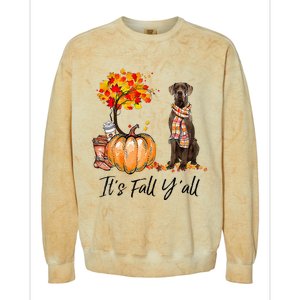 It's Fall Y'all Great Dane Dog Lovers Thanksgiving Halloween Colorblast Crewneck Sweatshirt