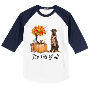 It's Fall Y'all Great Dane Dog Lovers Thanksgiving Halloween Baseball Sleeve Shirt