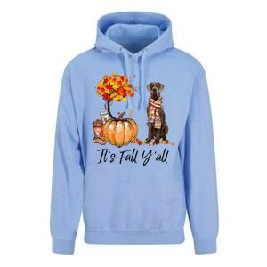 It's Fall Y'all Great Dane Dog Lovers Thanksgiving Halloween Unisex Surf Hoodie