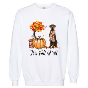 It's Fall Y'all Great Dane Dog Lovers Thanksgiving Halloween Garment-Dyed Sweatshirt