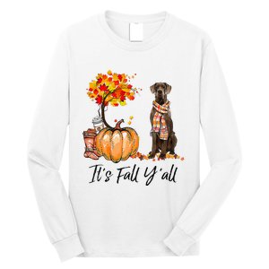 It's Fall Y'all Great Dane Dog Lovers Thanksgiving Halloween Long Sleeve Shirt