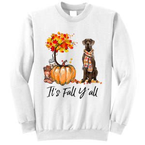 It's Fall Y'all Great Dane Dog Lovers Thanksgiving Halloween Sweatshirt