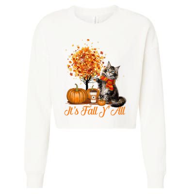 ItS Fall YAll Maine Coon Cat Halloween Hanksgiving Gift Cropped Pullover Crew