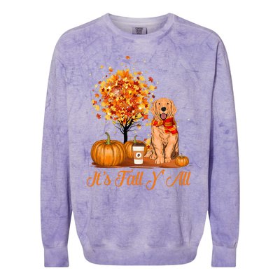 It's Fall Y'All Golden Retrievers Dog Halloween Thanksgiving Colorblast Crewneck Sweatshirt