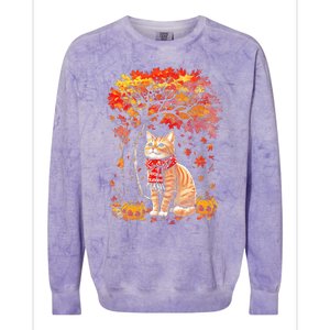 ItS Fall Yall Cat Leaf Fall Tree Hello Autumn Thanksgiving Colorblast Crewneck Sweatshirt